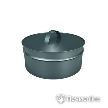 Заглушки Теплов и Сухов Заглушка ревизии Термо-Р 304 0.5 D300(200) в Краснодаре